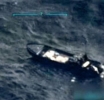 US Legislator Condemns Trump’s Second Military Strike in the Caribbean