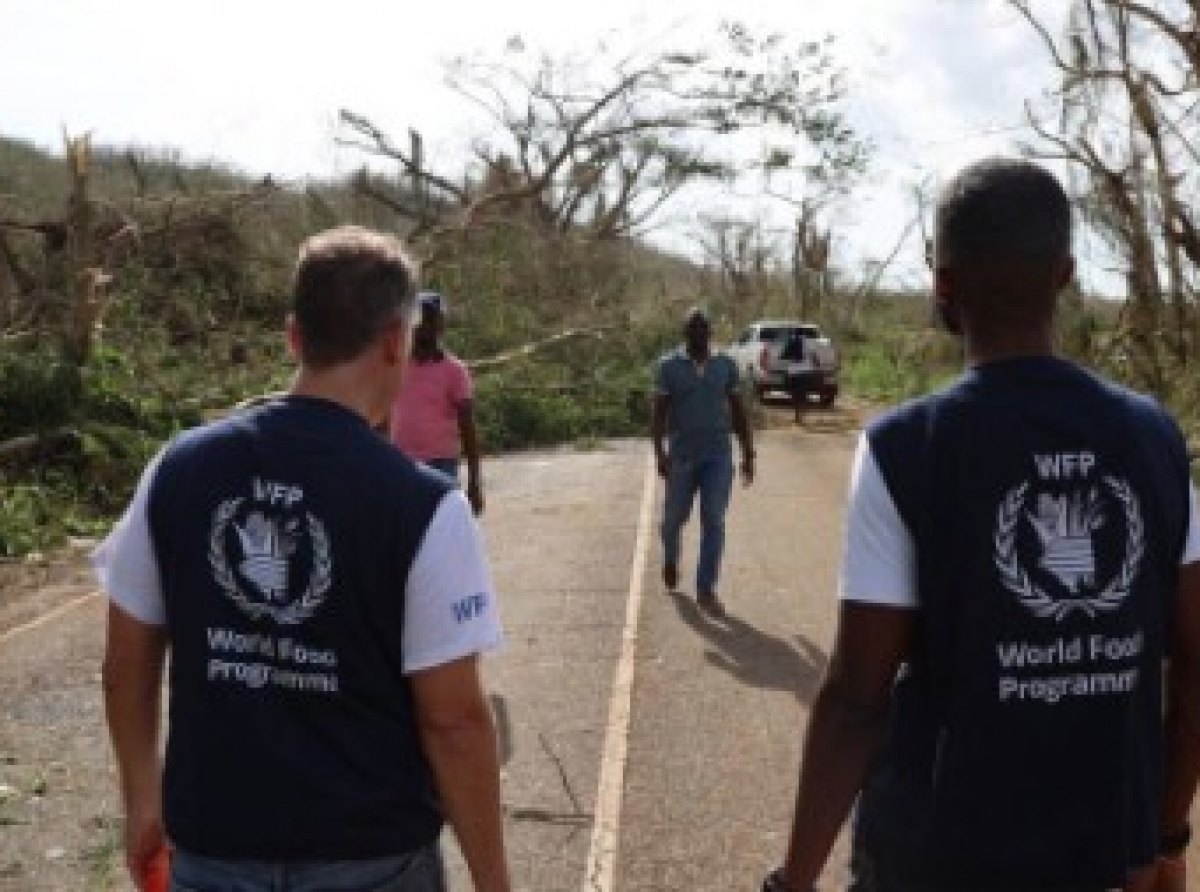 UN Says Nearly a Third of Jamaica’s Annual Wealth Wiped Out By Hurricane Melissa