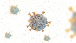 Close-up image of a COVID-19 coronavirus. Image from Getty Images