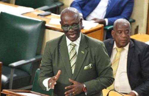 Minister of Local Government and Rural Development Desmond McKenzie in the House of Representatives on Tuesday.