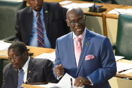 Minister of Local Government and Rural Development Desmond McKenzie. (file photo)