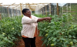 Louise Lawrence is a proud ambassador for the REDI initiative (World Bank photo)