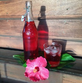 Traditional Caribbean holiday drink, Sorrel. (file photo)