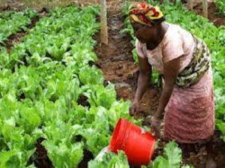 farming
