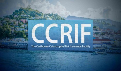 ccrifact