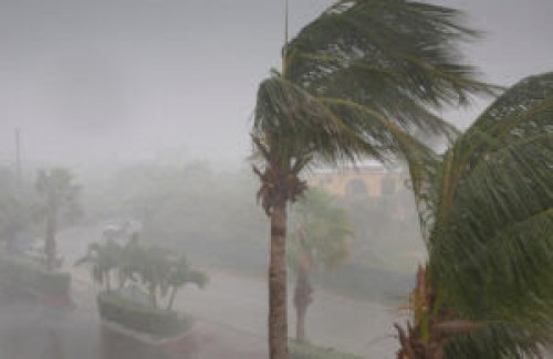 meteogyS