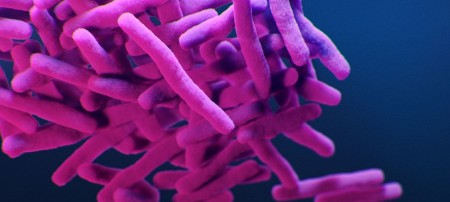 antDRUG