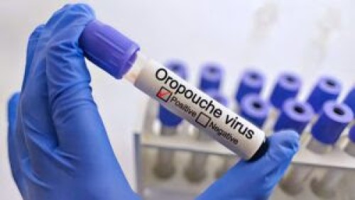 cdcontrolvi