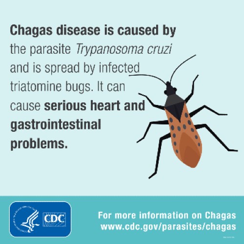 chagAS