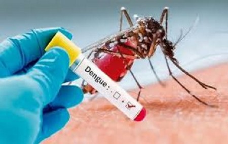 dengueco