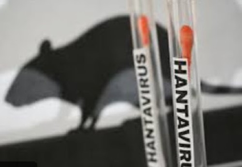 hanyvir