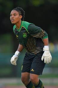 Webp.net resizeimage 7