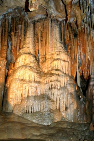 cavesto