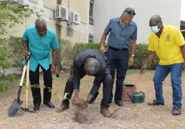 State Minister in the Ministry of Agriculture and Fisheries, Hon. Franklin Witter (second from left), participates in a recent tree-planting exercise at the Ministry’s Kingston offices. Among those looking on are Permanent Secretary in the Ministry, Dermon Spence (left). (Photo courtesy of JIS)