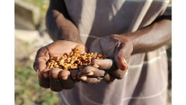Photo credit: World Bank Group