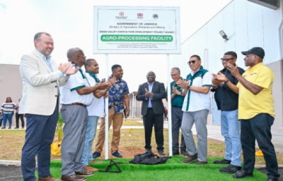 Prime Minister Andrew Holness (third from right) hands over the Essex Valley Agro-Processing Facility in St. Elizabeth. He is joined by (left to right): Andrew Bowden, United Kingdom Development Representative for Jamaica and Caribbean Regional Counsellor; Franklin Witter, State Minister, Ministry of Agriculture, Fisheries and Mining; Floyd Green, Minister of Agriculture, Fisheries and Mining; Marcus Vassell, Farmer; Dr. Martin Baptiste, Division Chief, Social Sector Division, Caribbean Development Bank; Vivion Scully, CEO, Agro-invest; Imran Powell, President, Essex Valley Benevolent Society; and Aubyn Hill, Minister of Industry, Investment and Commerce.