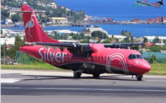Silver Airline (File Photo)