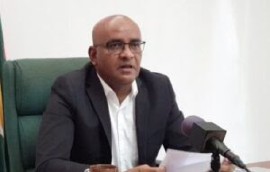 Bharrat Jagdeo, Vice President of Guyana