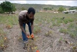Drought situation in Jamaica (File Photo)