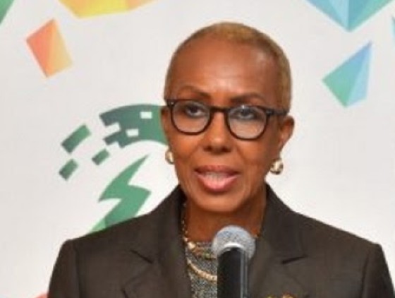 Finance and Planning Minister, Fayval Williams (File Photo)