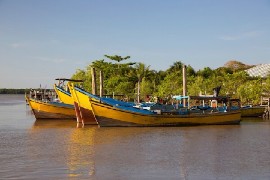 Fishing boats in Suriname.
