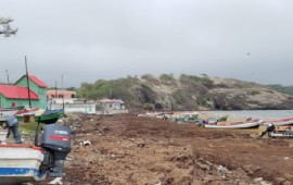 Sargassum inundation defaces coastline of Saint Lucia fishing community (CRFM photo)