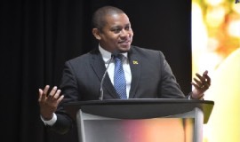 Agriculture Minister Floyd Green, addressing the TWWH meeting