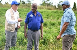 Junior Agriculture, Fisheries and Mining Minister, Franklin Witter, (center) in discussions with FAO Regional Representative for Latin America and the Caribbean, René Orellana Halkyer (left) and a local farmer (JIS Photo)