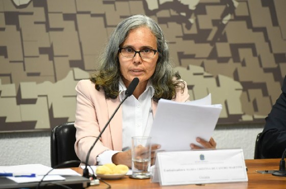 Ambassador Maria Cristina de Castro Martins
