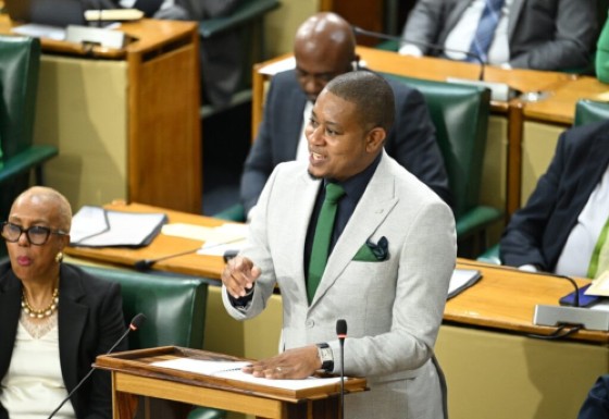 Minister of Agriculture, Fisheries and Mining, Floyd Green. (Photo: JIS)