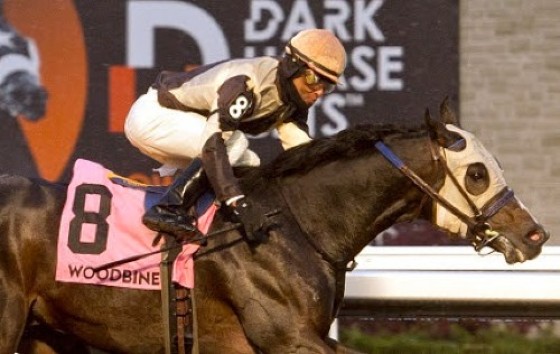 Barbadian jockey Patrick Husbands.