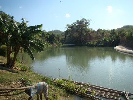 The Rio Cobre river. (Via Jamaica's Water Resources Authority)