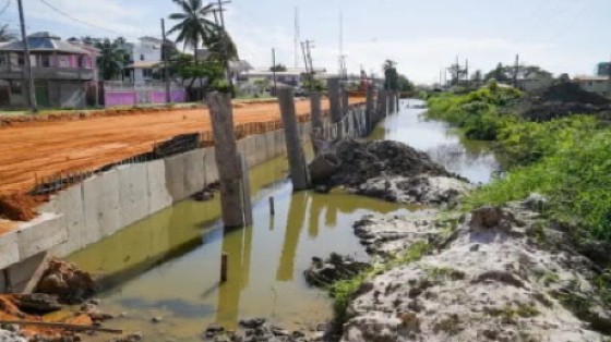 Ongoing works on the Conversion Tree Road project