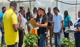 Participants From Jamaica assess production with Dr. Robles (IICA photo).