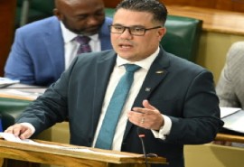 Water, Environment and Climate Change Minister, Matthew Samuda.
