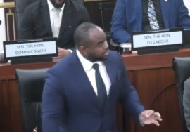 Trinidad and Tobago CARIOM and Foreign Affairs Minister, Sean Sobers in the Senate on Wednesday (CMC Photo)