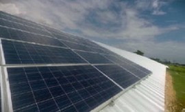 Solar panels installed in a poultry farm, Jamaica. (Photo courtesy World Bank)