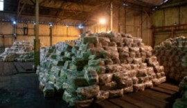 Sugar stored at GuySuco warehouse (DPI Photo)